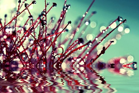 One Sunday Morning by Incredi art print