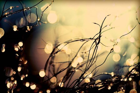 Summer Nights by Incredi art print