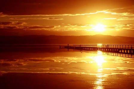 The Show Is On by Incredi art print