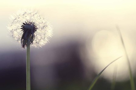 Without You by Incredi art print