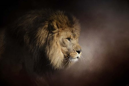 The Mighty Lion by Jai Johnson art print