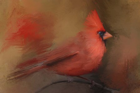 America's Favorite Red Bird by Jai Johnson art print