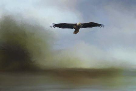 Juvenile Eagle At The Lake by Jai Johnson art print