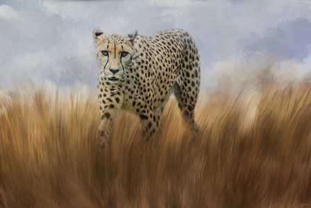 Cheetah In The Field by Jai Johnson art print