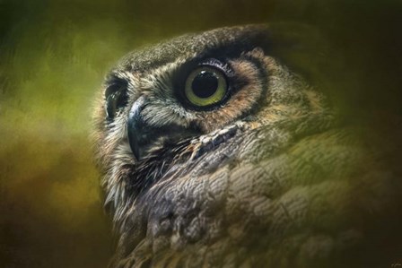 Great Horned Owl In The Grove by Jai Johnson art print