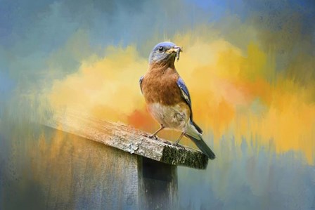 Bluebird Mealtime by Jai Johnson art print