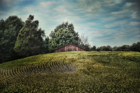 Red Barn On The Hill by Jai Johnson art print