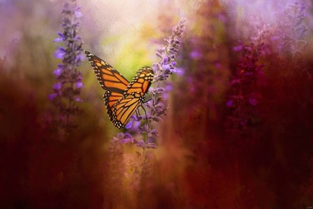 Autumn Monarch by Jai Johnson art print