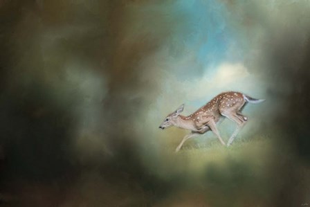 Back Down The Hill by Jai Johnson art print