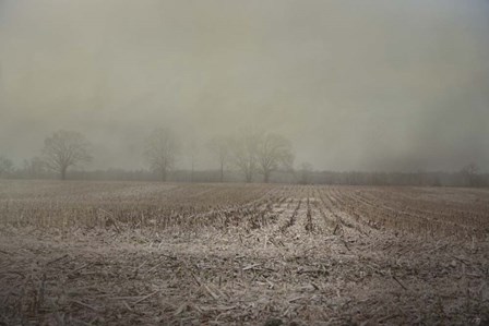 End Of A Season by Jai Johnson art print