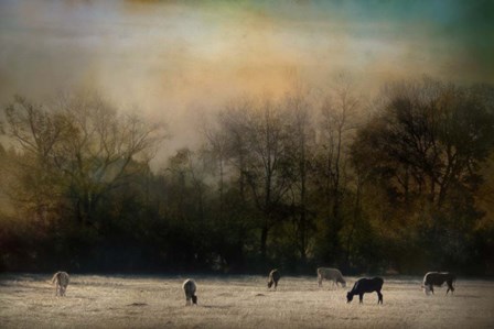 Peaceful Tennessee Morning by Jai Johnson art print