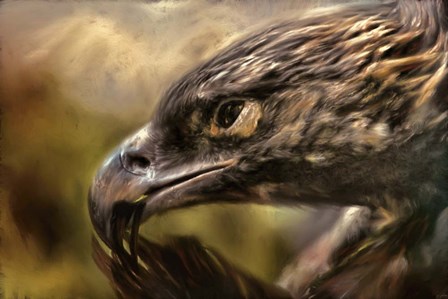 Preening by Jai Johnson art print