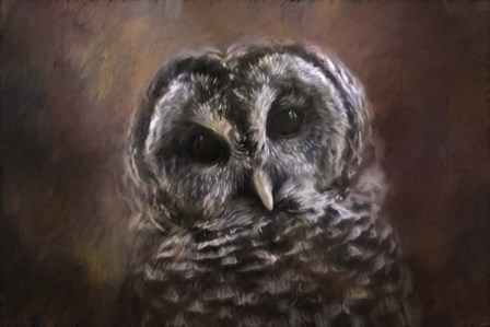 The Curious Owl by Jai Johnson art print