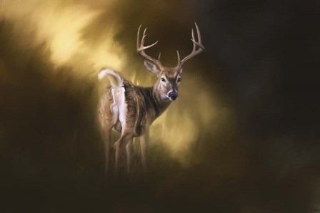 Nine Pointer by Jai Johnson art print
