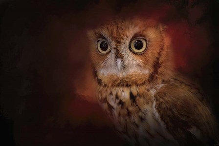 Halloween Owl by Jai Johnson art print