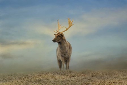 Taking  In The View by Jai Johnson art print