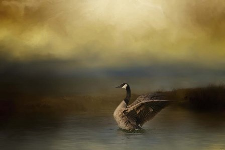 Autumn Afternoon Splash by Jai Johnson art print