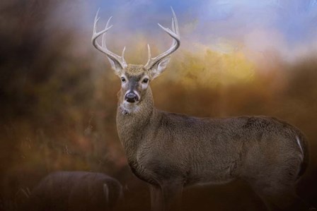 Let The Season Begin by Jai Johnson art print