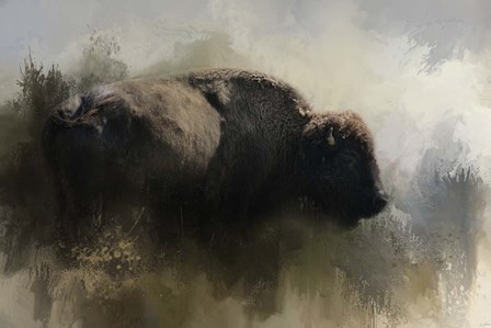 Abstract American Bison by Jai Johnson art print