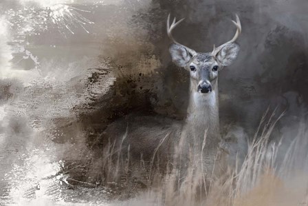 Buck In The Shadows by Jai Johnson art print