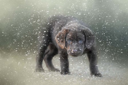 Her First Snow by Jai Johnson art print