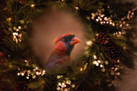 Resting In The Wreath by Jai Johnson art print