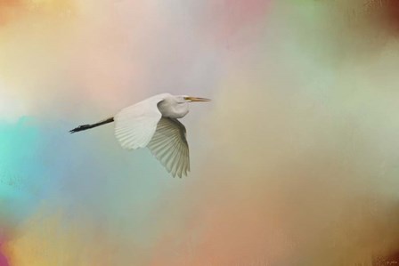 Silent Beauty by Jai Johnson art print