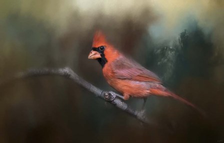 A Splash of Red by Jai Johnson art print