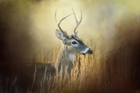 Doe Chasing by Jai Johnson art print