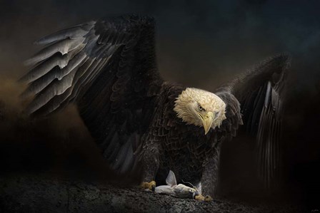 Fresh Catch by Jai Johnson art print