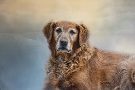 The Older I Get by Jai Johnson art print