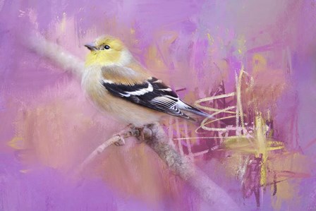 Abstract Goldfinch by Jai Johnson art print