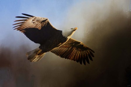 The Light by Jai Johnson art print