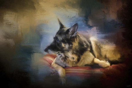 Watching The Drama by Jai Johnson art print