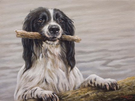 Got It! by John Silver art print