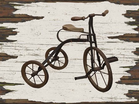 Bike by Karen J. Williams art print