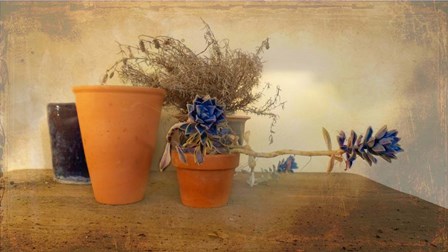 Clay Pots b by Karen J. Williams art print