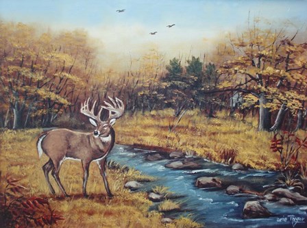 Monarch by Arie Reinhardt Taylor art print