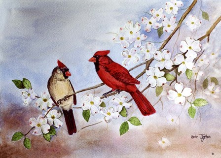 Cardinals and Dogwood by Arie Reinhardt Taylor art print