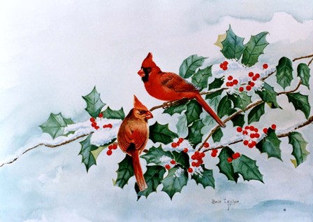 Cardinals and Holly Berries by Arie Reinhardt Taylor art print