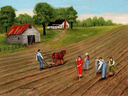 Choppn&#39; Cotton 2 by Arie Reinhardt Taylor art print
