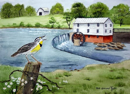 Meadowlark and Murray&#39;s Mill by Arie Reinhardt Taylor art print