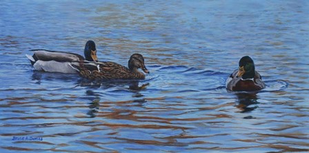 Autumn Outing Mallards by Bruce Dumas art print