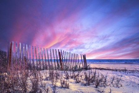 Beach Fences by Celebrate Life Gallery art print