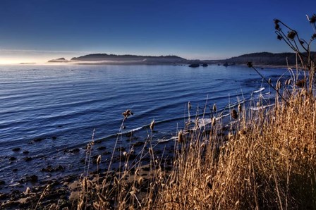 Pacific Blues by Celebrate Life Gallery art print