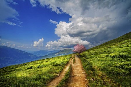 Perseverence by Celebrate Life Gallery art print