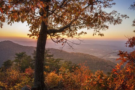 Smoky Overlook by Celebrate Life Gallery art print