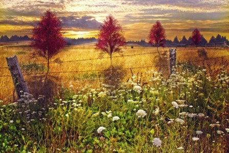 Sunset Shadows by Celebrate Life Gallery art print