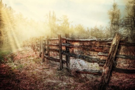Wood Fences In The Fog by Celebrate Life Gallery art print