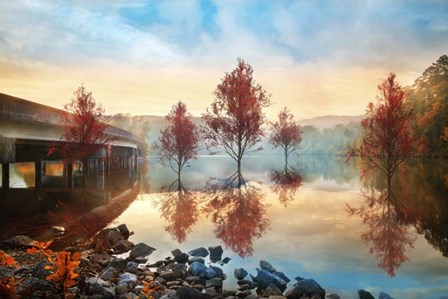 Cypress Autumn by Celebrate Life Gallery art print